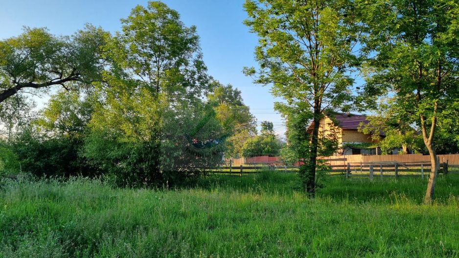 Teren Intravilan Ilisesti/Suceava - Poză 5