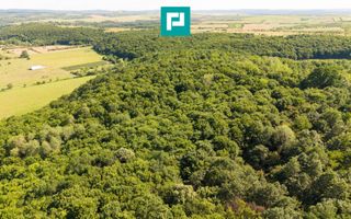 TEREN AGRICOL EXTRAVILAN  22.900 MP LIPOVA - Poză 18