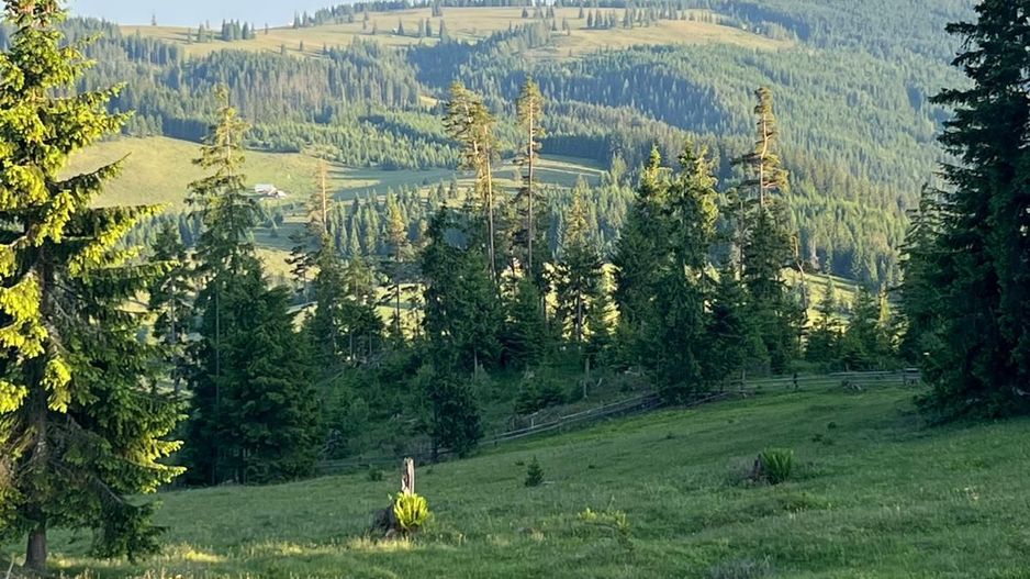 50 hectare teren | Moldova-Sulita | Potential turistic si agricol - Poză 10