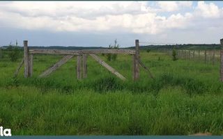 Ag EUROPA vinde 21 ari teren ingradit cu toate utilitatile în Ardud. - Poză 1