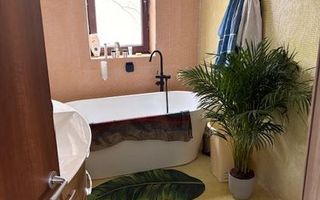 Apartament Cismigiu / Cobălcescu - Poză 3