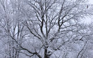 Teren cu izvor de apă minerală  Dangești, Punctul Valea Mare - Poză 32