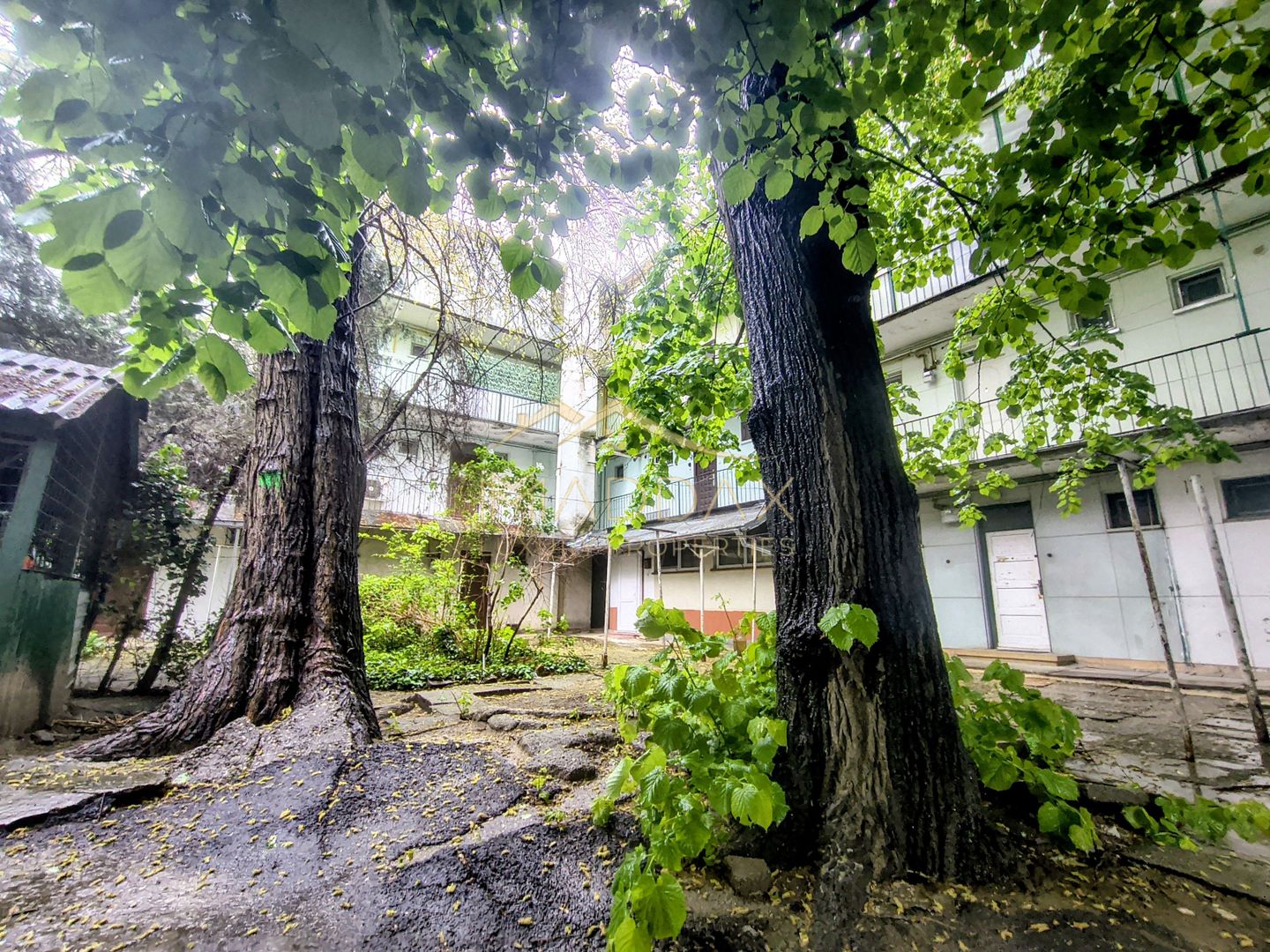 Inchiriere 2 camere birou // zona linistita // Primaverii - Poză 19
