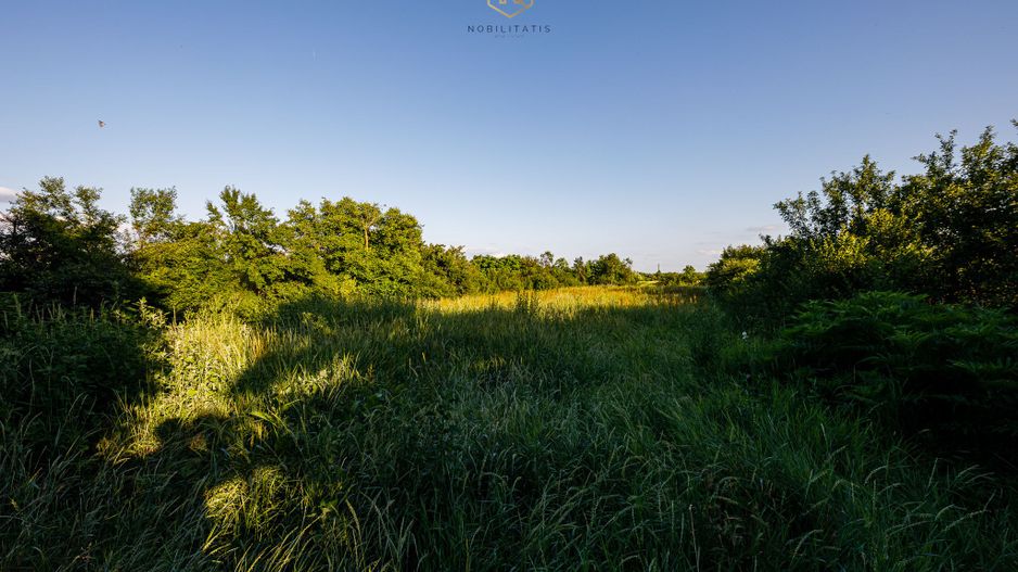 OFERTA VANDUTA  - Casa Izvin | 4 camere - 146 mp | Centrala gaz | Teren 3157 mp - Poză 23