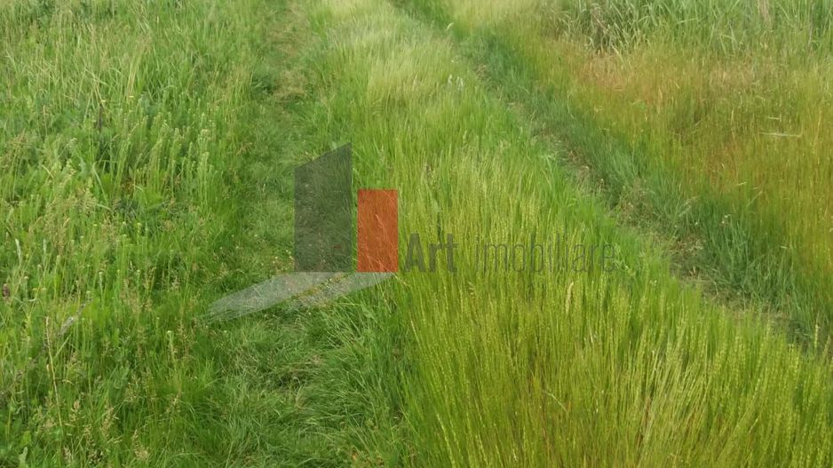 Teren cu iesire la lac - Poză 16