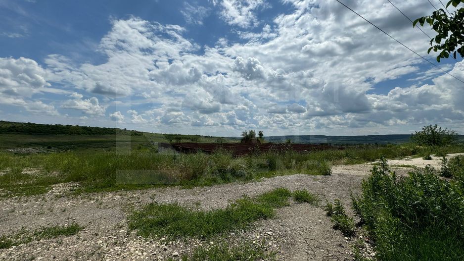 Vânzare, teren, 60 ari, satul Suruceni, Ialoveni - Poză 10