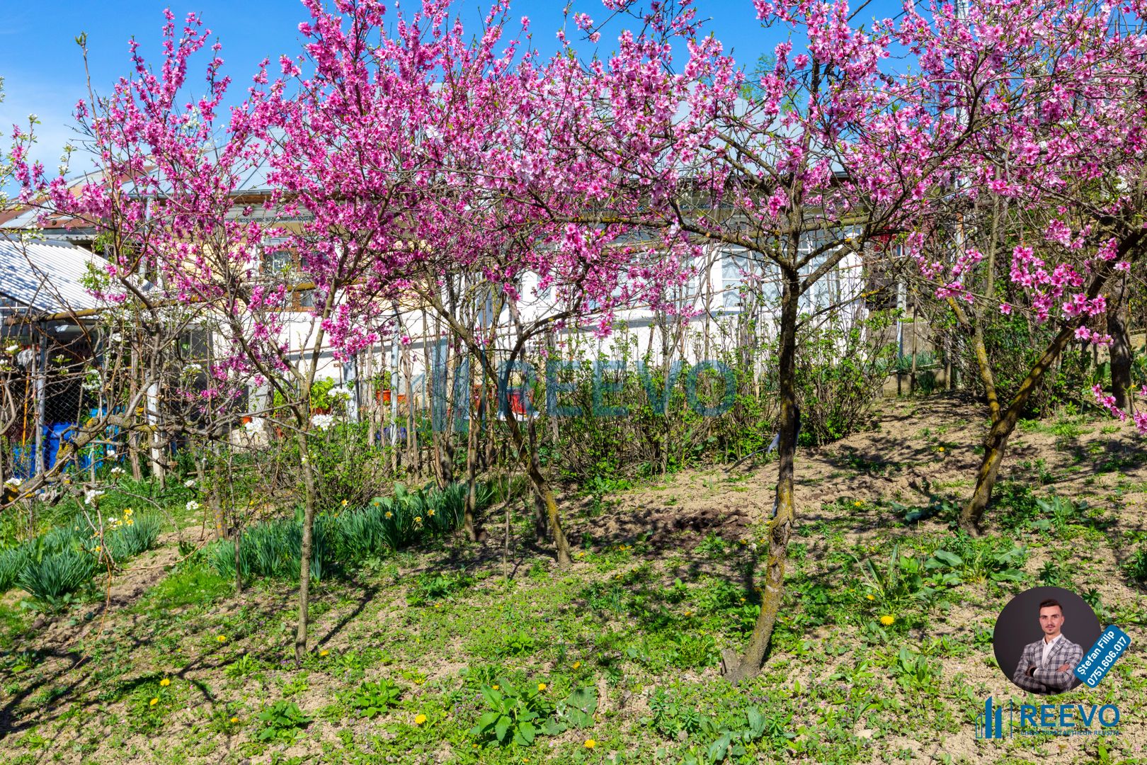 Casă și teren de vânzare, sat Buda, Blăgești, Bacău - Poză 40