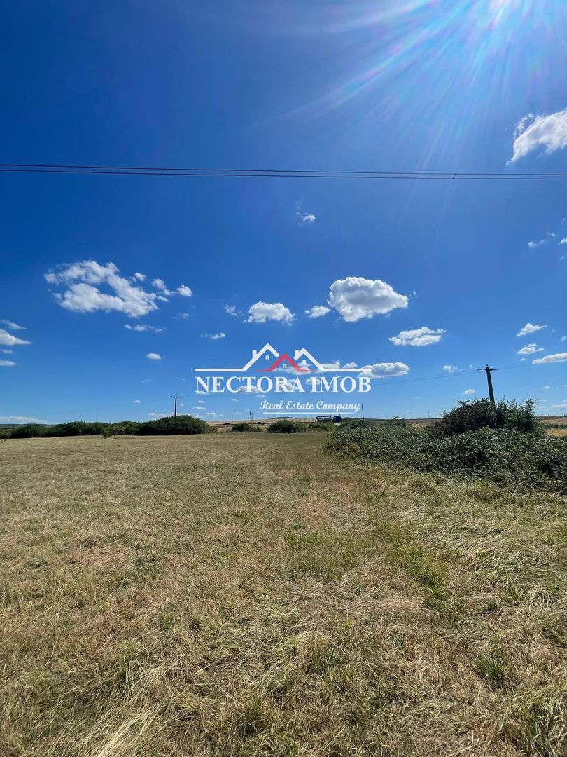 NECTORA IMOB-Teren Zona Osorhei, 5500 mp, 21 ml Front, 210 ml adancime - Poză 2