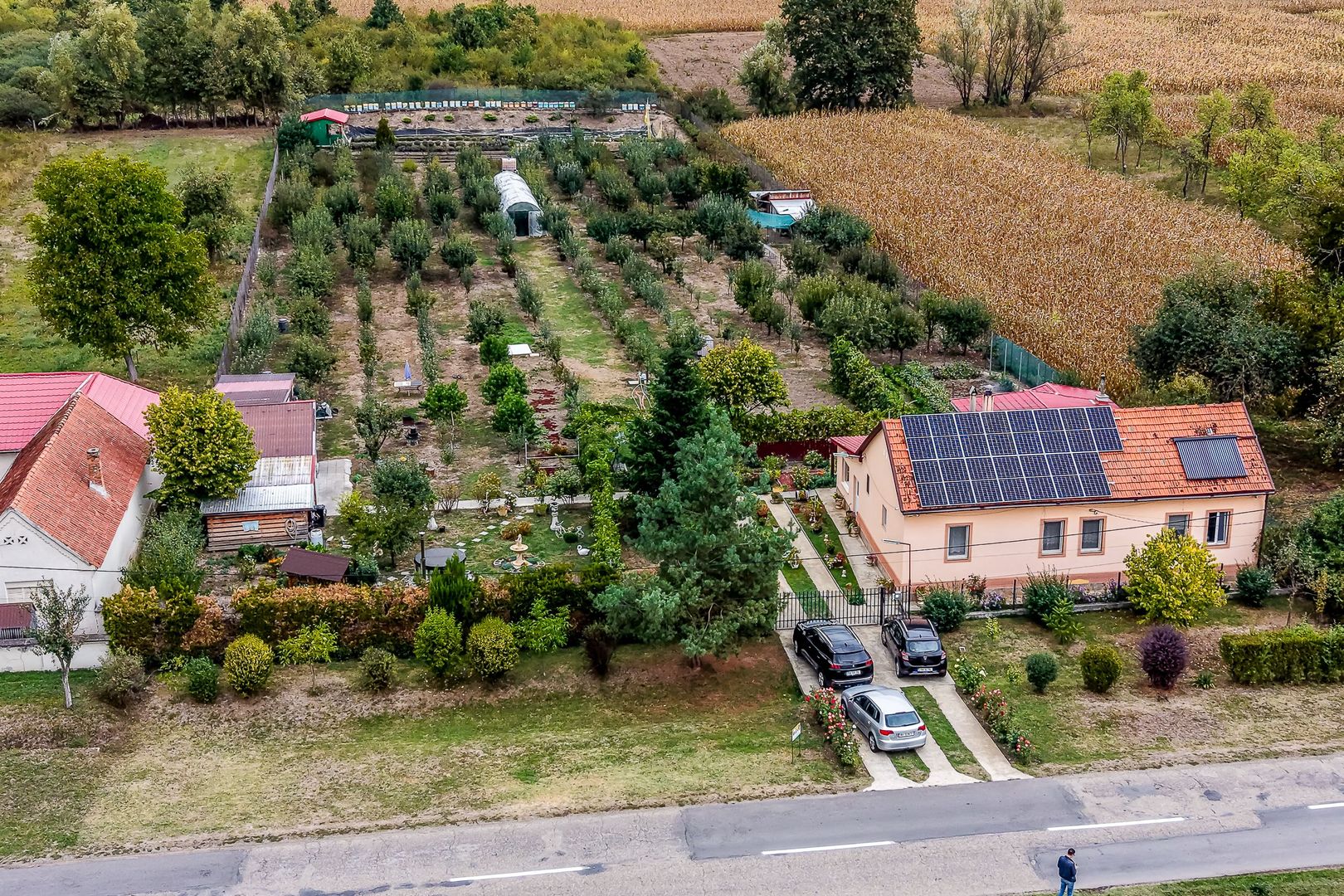 🏡 Mai mult decât o casă: libertatea de a trăi aproape de natură - Poză 2