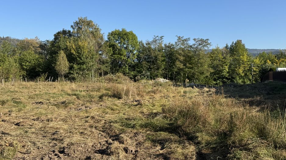 TEREN INTRAVILAN, CAMPULUNG,  2691 MP - Poză 7