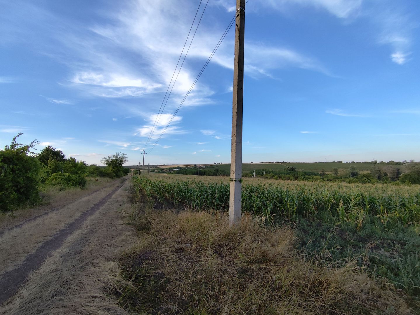 Teren cu destinaţie grădină com. Budești, Mun. Chişinău - Poză 2