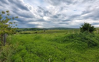 Teren pentru construcții, Măgdăcești | 16,76 ari | acces direct | zonă liniștită - Poză 3
