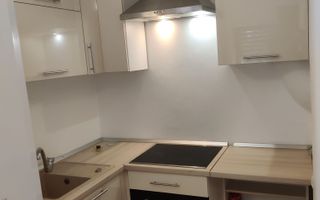 Apartament cu 1 camera, 45 mp, Zona Ultracentrala - Poză 5