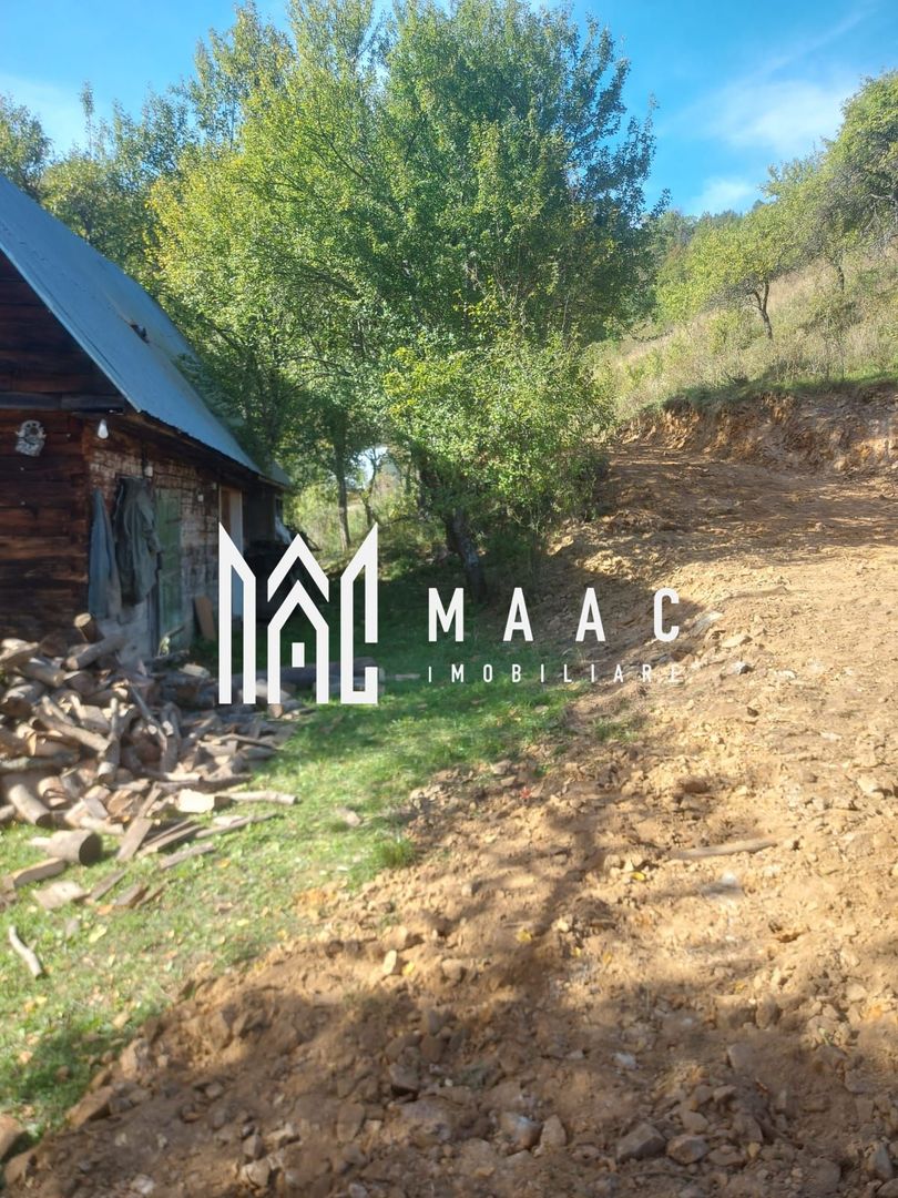 Super ofertă 35000 teren in Muntii Apuseni - Poză 30