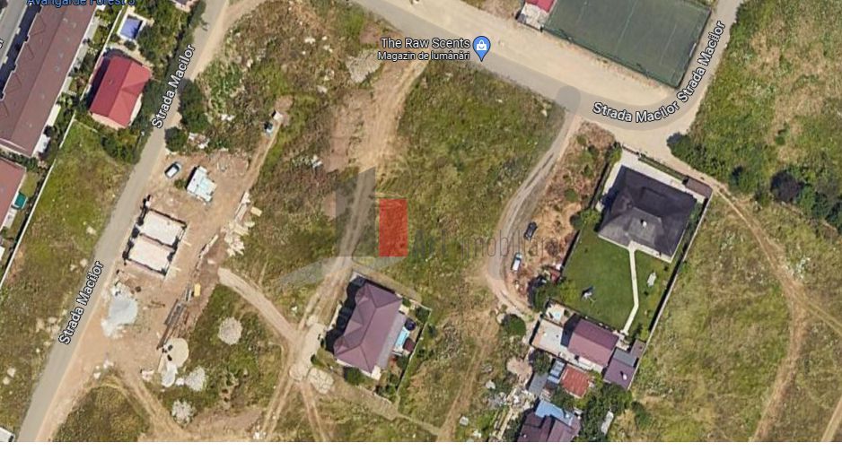 Teren Intravilan  Voluntari Matei Milo - Poză 2