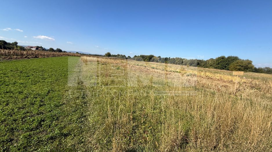 Teren intravilan | Volovat | 2200 mp - Poză 3