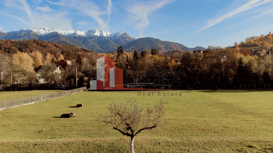 Teren 15.941 mp Moieciu | parcelabil | aproape de Castelul Bran - Poză 4