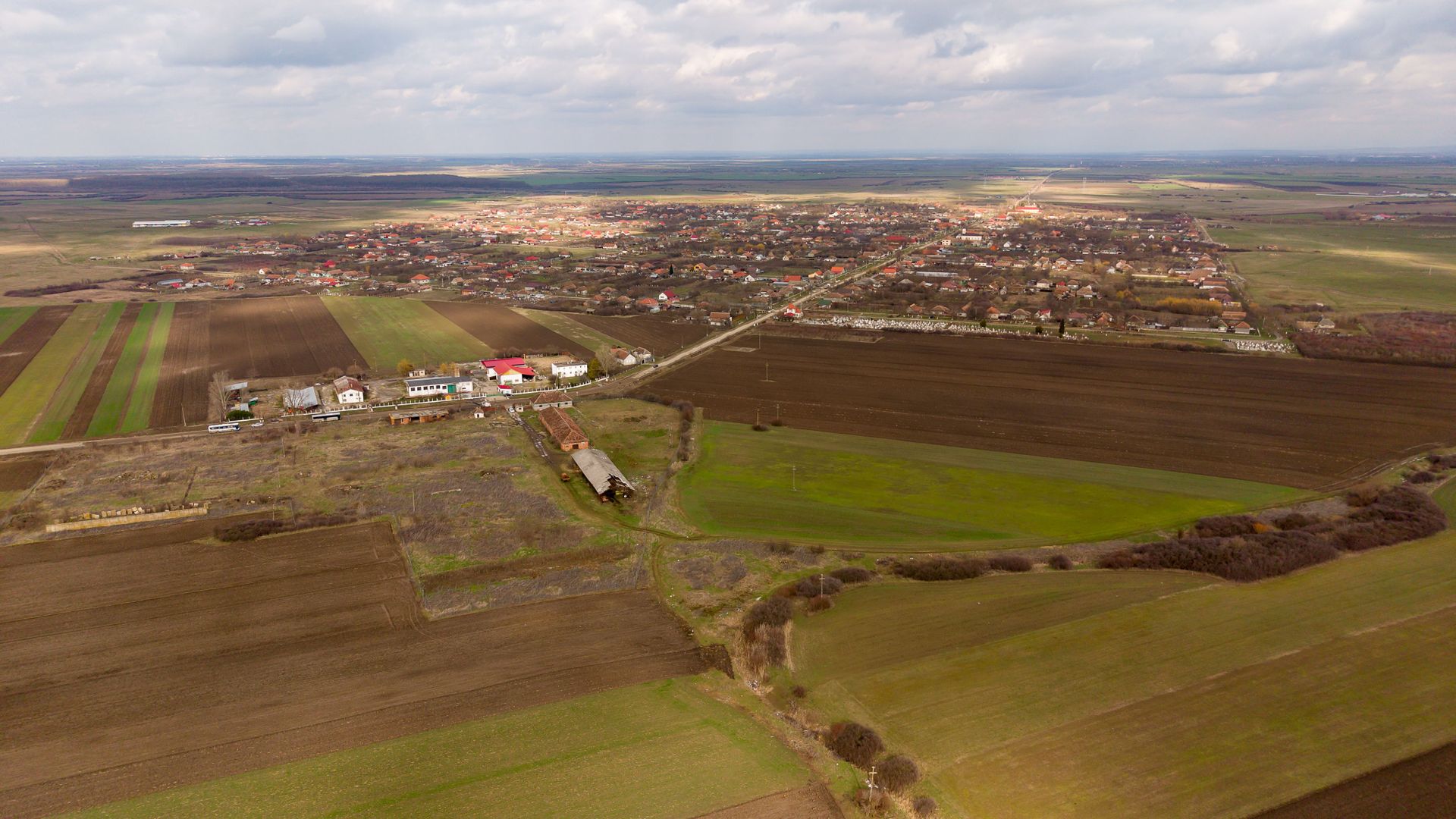 Fermă cu teren intravilan de 35000 mp în Mișca - Poză 2