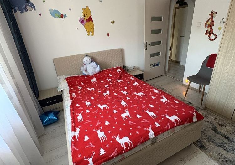 Apartament 2 decomandate- Lapus Arges - Poză 4