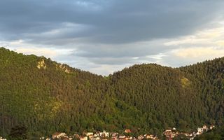 Apartament Premium, 3 Camere , Drumul Poienii– Stejăriș - Comision 0 - Poză 13