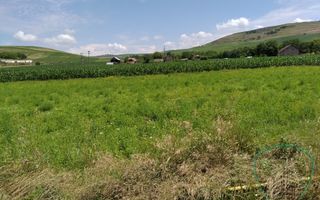 P 1037 - Teren  în județul Mureș - comuna Band - Poză 2