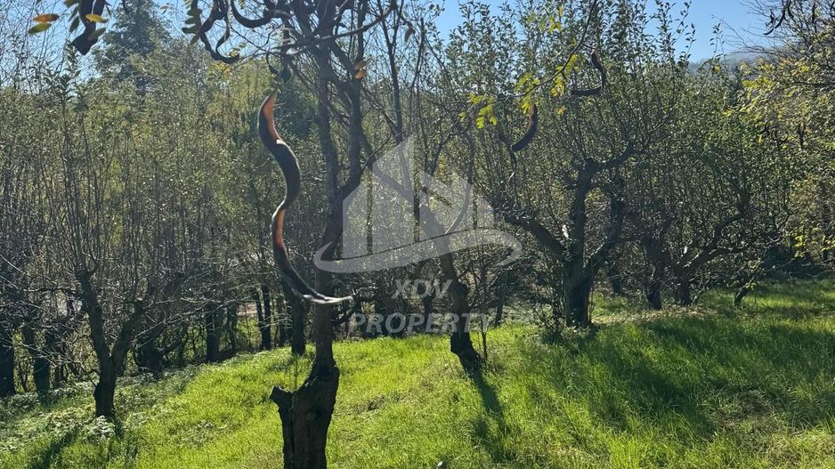 Teren in zona turistica Porumbacu de Sus - Poză 7