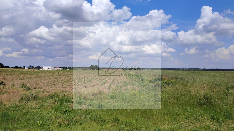 Teren intravilan Ciocanesti Cretu - 9282 mp divizat in 15 loturi - Poză 1