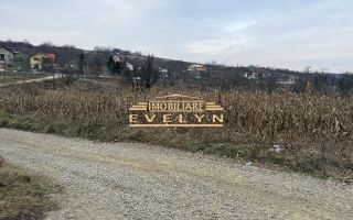Teren intravilan de vânzare – Mănăstirea Doamnei - Poză 2