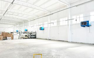 Hală industrială de închiriat 674 mp, 7 m înălțime – Arad centru - Poză 5