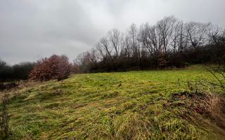 Teren intravilan | 30 ari | front stradal 50 m | investitie ideala | Mocira. - Poză 3