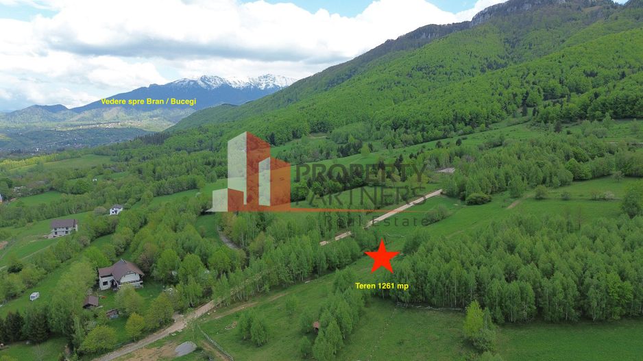 Teren intravilan 5.261 mp Tohănița | Deschidere 49 m | Utilități, lângă pădure - Poză 5