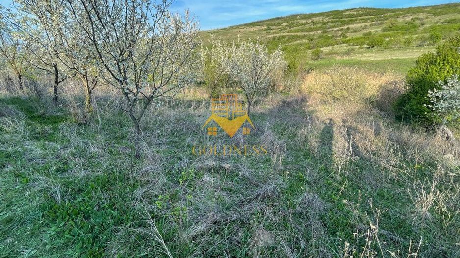 Tren Soporului Intravilan ,5500 MP Utilitati,  Oportunitate - Poză 6