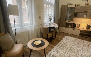 1 camera, UltraCentral, Baritiu, Mihai Viteazu, Muzeul de Arta - Poză 3