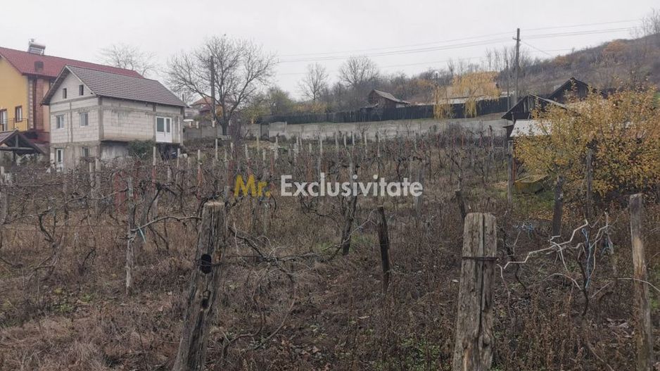 De vanzare casa in Argetoaia cu teren 7.000 mp - Poză 6