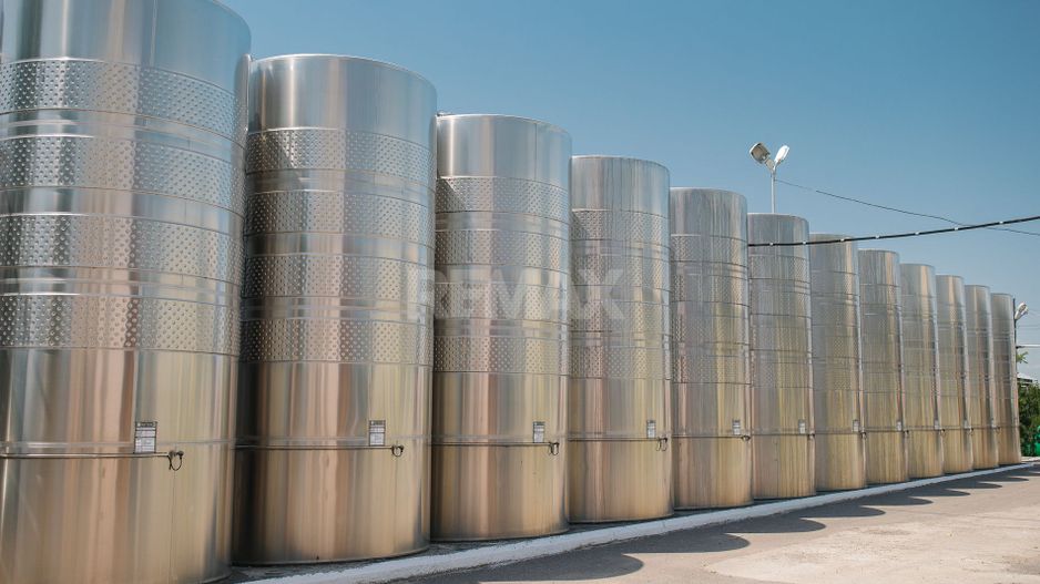 Complex Vitivinicol de Referință în Sudul Moldovei | 206 ha teren agricol | Investiție strategică - Poză 16