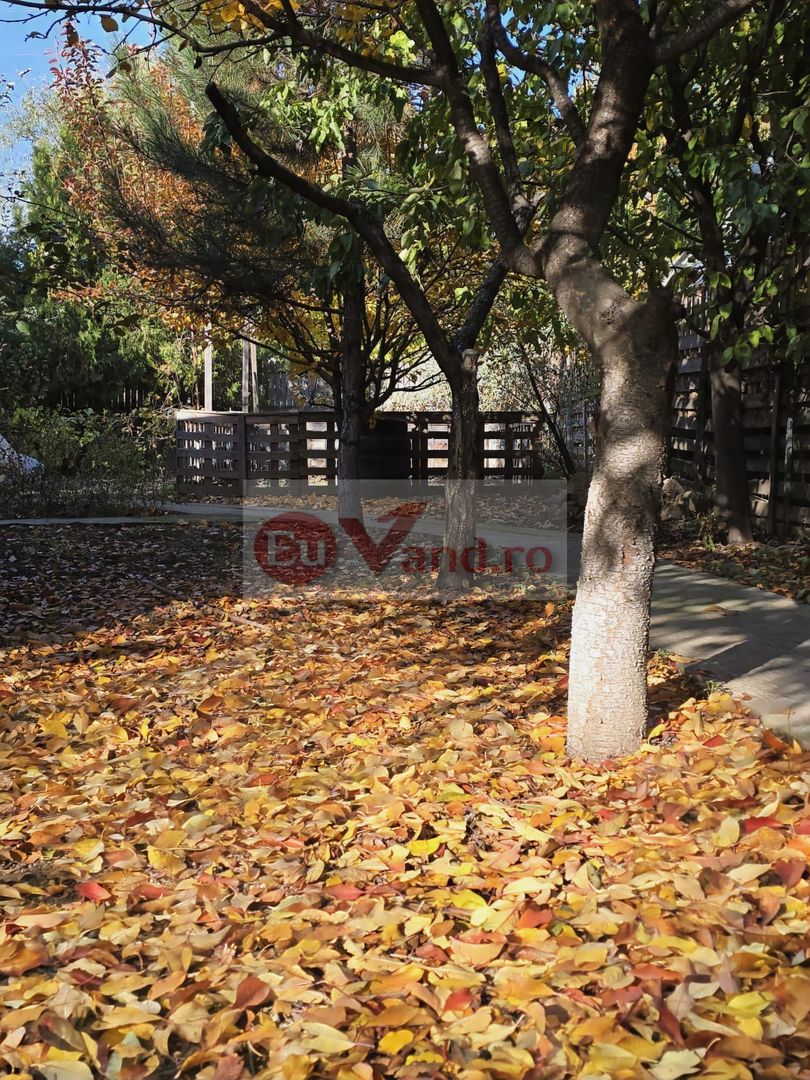 Exclusivitate! Proprietate in Sendreni, jud. Galati -  65.000 EUR - Poză 20