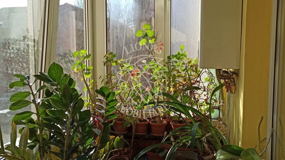 Apartament 3 camere-72 mp construiti-balcon-etaj 2-Zona Dragos Voda - Poză 6