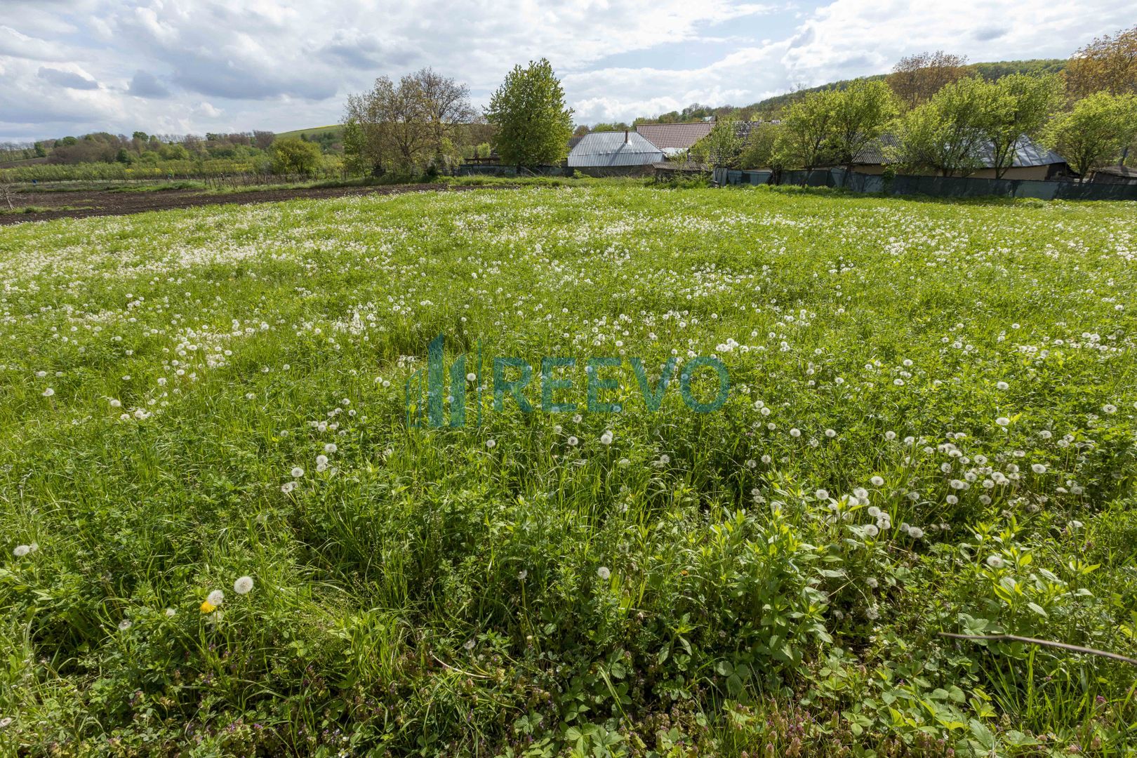 Teren intravilan Blăgești, Bacău - Poză 8