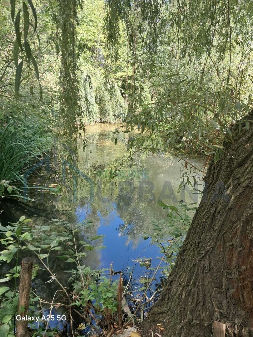 Domeniu de 7.500 mp cu casă bătrânească, anexe, livadă și iaz în Stolniceni-Prăjescu, Iași - Poză 7