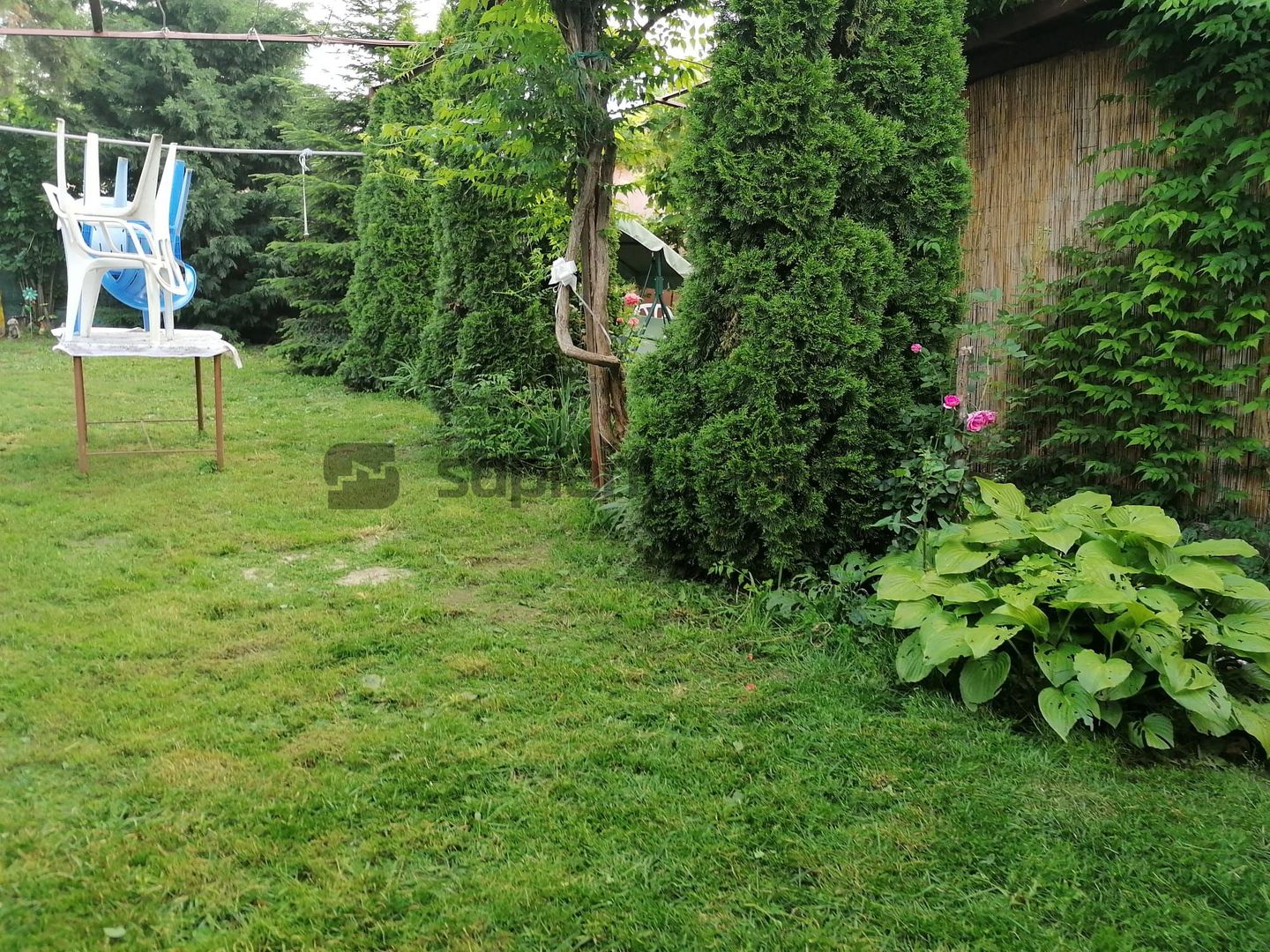 Sapient | Casa zona Episcopia Bihor - Poză 13