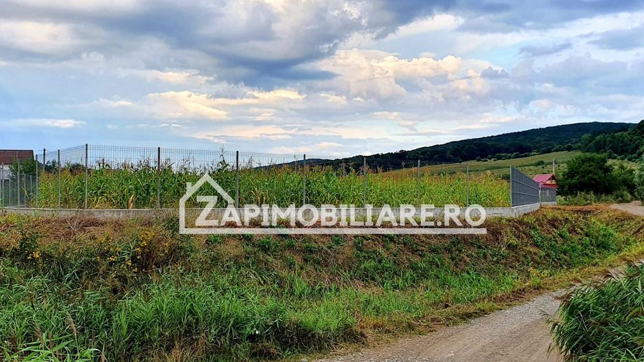 Teren intravilan 25 ari la iesire din Livezeni spre Ivanesti 48 eu /mp - Poză 4