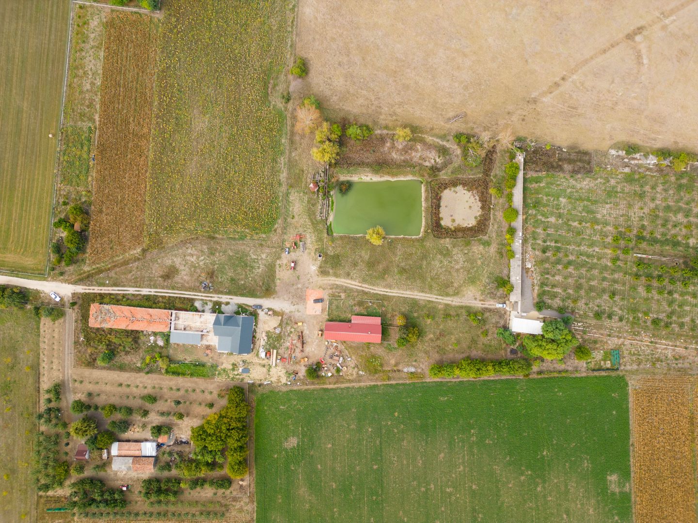 Teren intravilan cu iazuri și casă - Chișineu-Criș - Poză 25