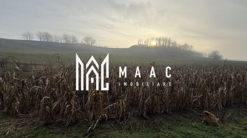 Casa individuala | 3502 MP | Utilitati | Miercurea Sibiului - Poză 16