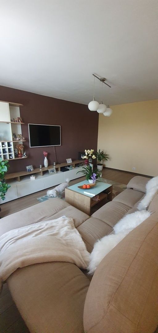 Apartament cu 3 camere Torontalului - Poză 4