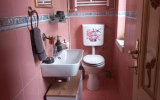 Apartament in vila Gradina Icoanei - Poză 4