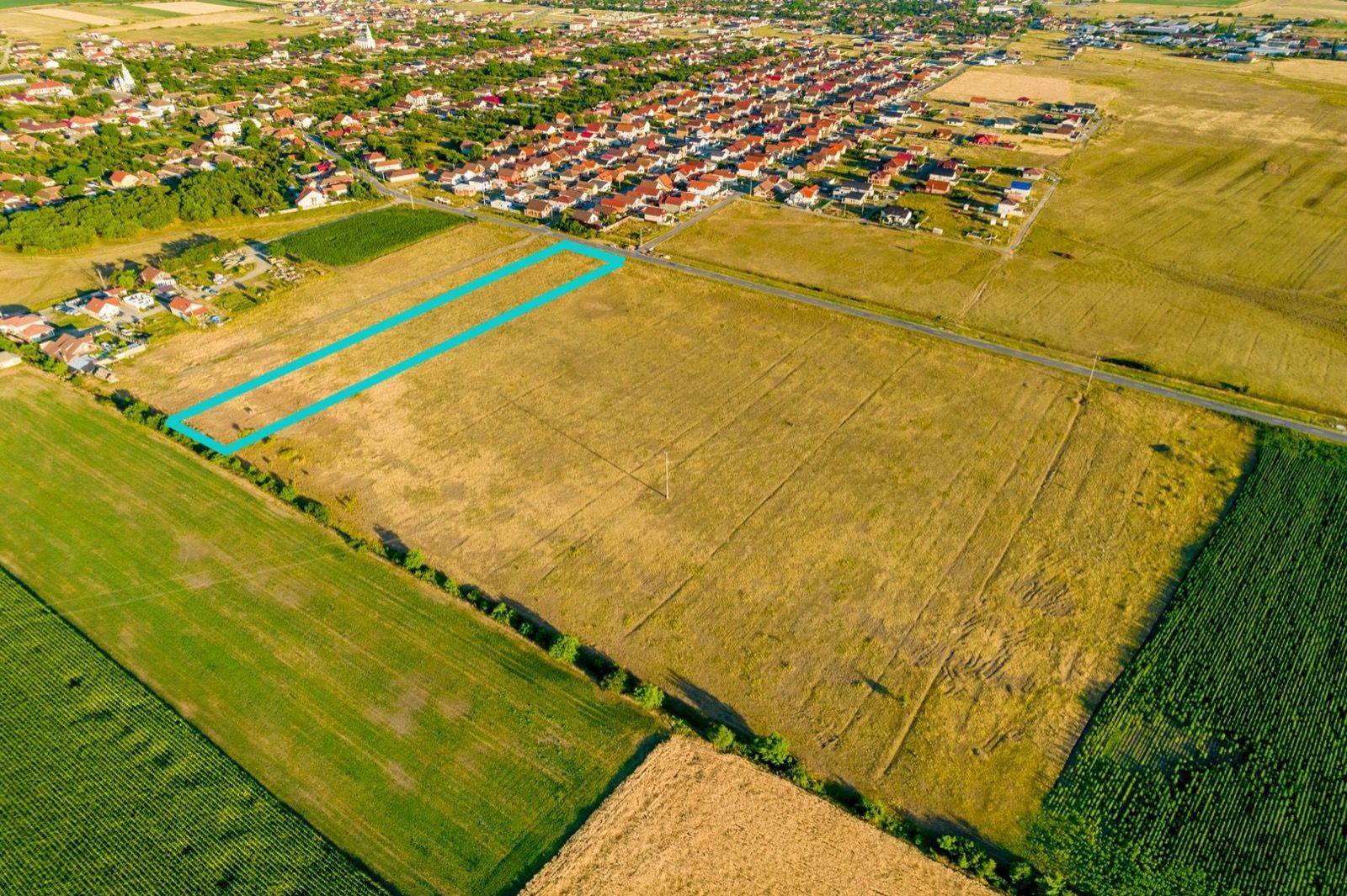 Teren de 1.3ha situat în Livada - Poză 2