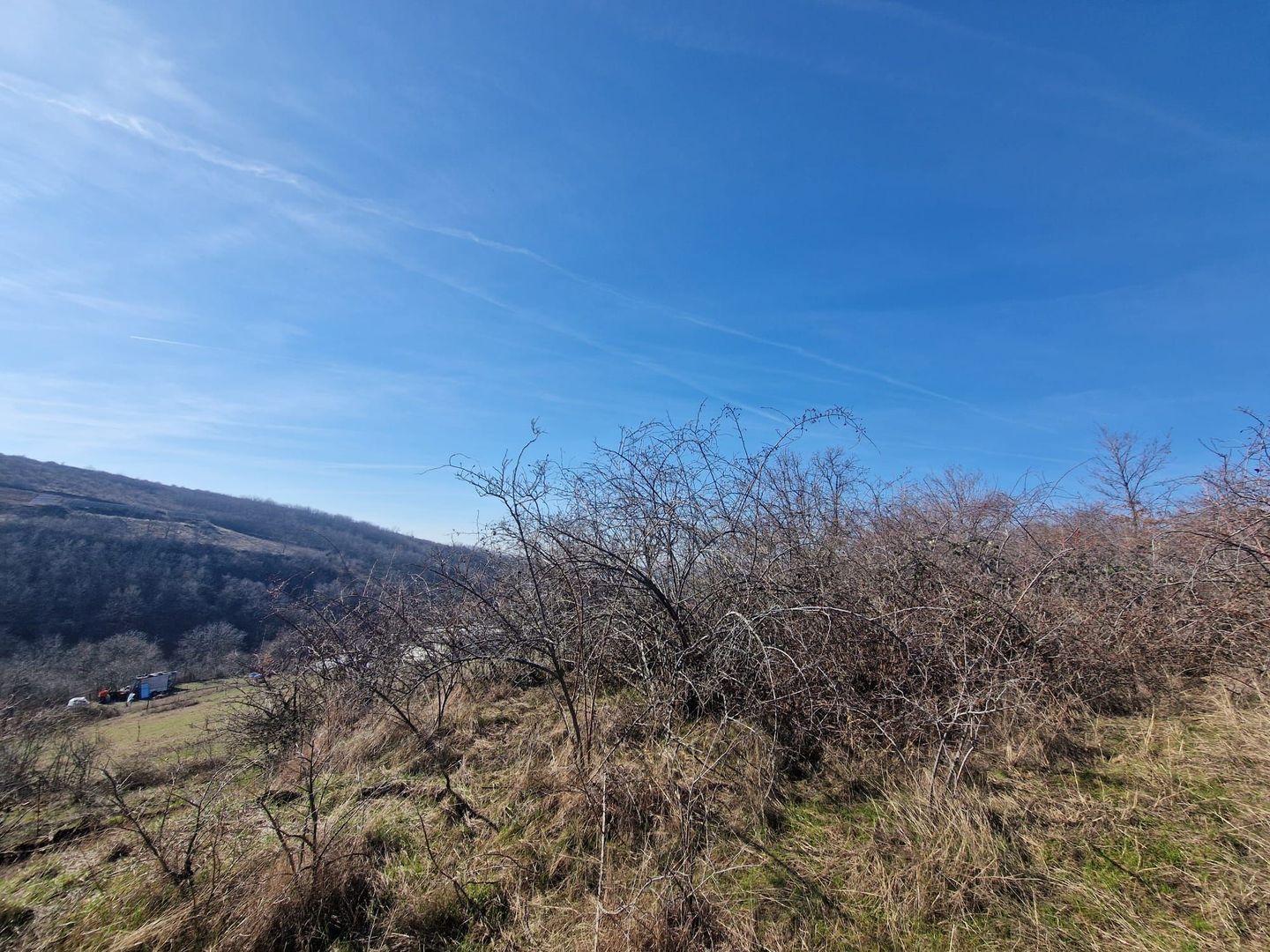 Teren extravilan, 23 400 mp, Cuvin (Ghioroc) - Poză 1