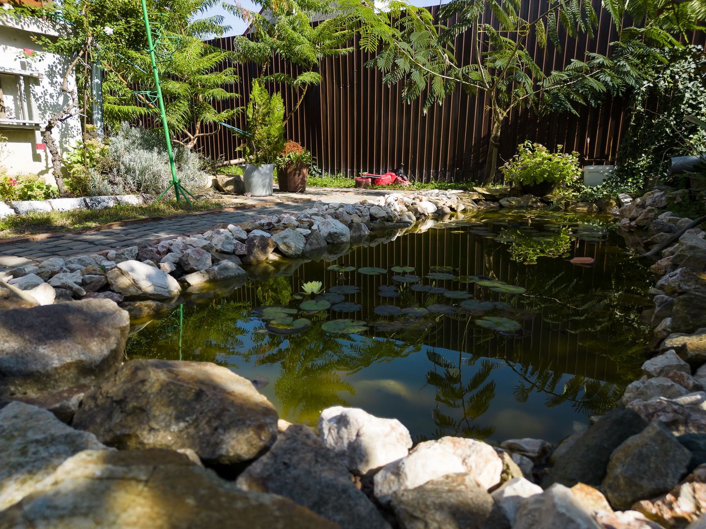 Casă individuală pe un nivel cu 5 camere, Lipova - Poză 8