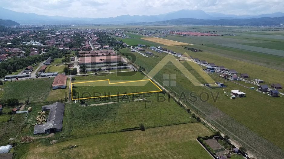 Oportunitate Investitie Cristian | Intravilan | Necesar PUZ | 9.650mp - Poză 6