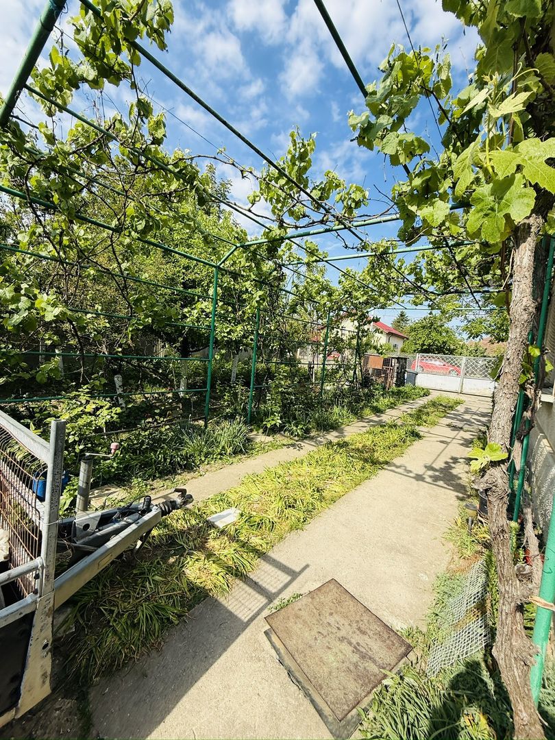 Ciarda Roșie / Buziașului | Front 27 ml | Teren 1464 mp | Utilități - Poză 3